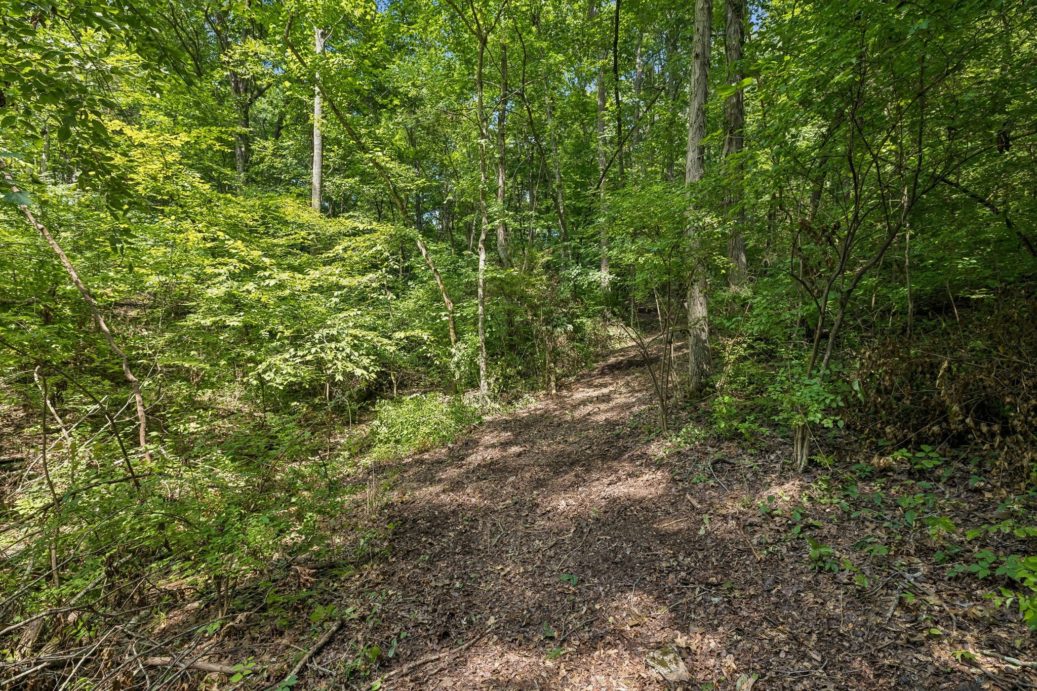 1466 Berea Church Road Lebanon, TN 37087 - Photo 84 of 93 Gallery Image 84