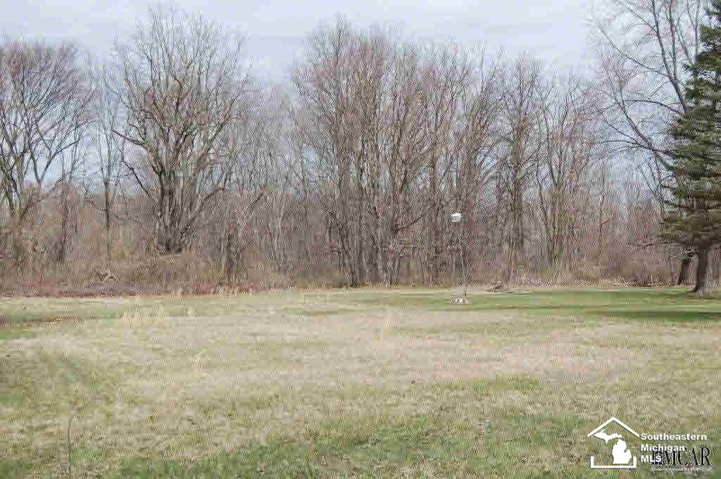 0 Pickard Road Temperance, MI 48182 - Photo 4 of 8