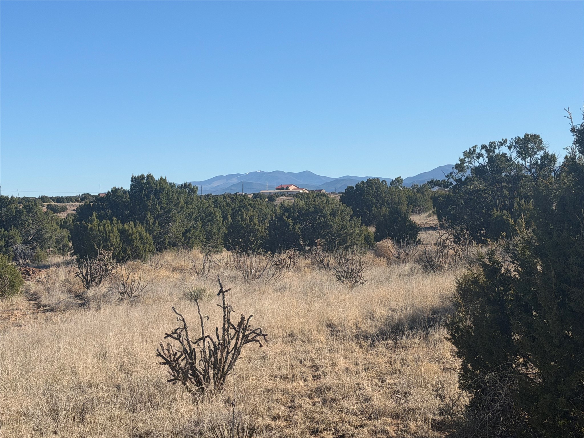 63 Crazy Rabbit Drive Santa Fe, NM 87508 - Photo 5 of 21