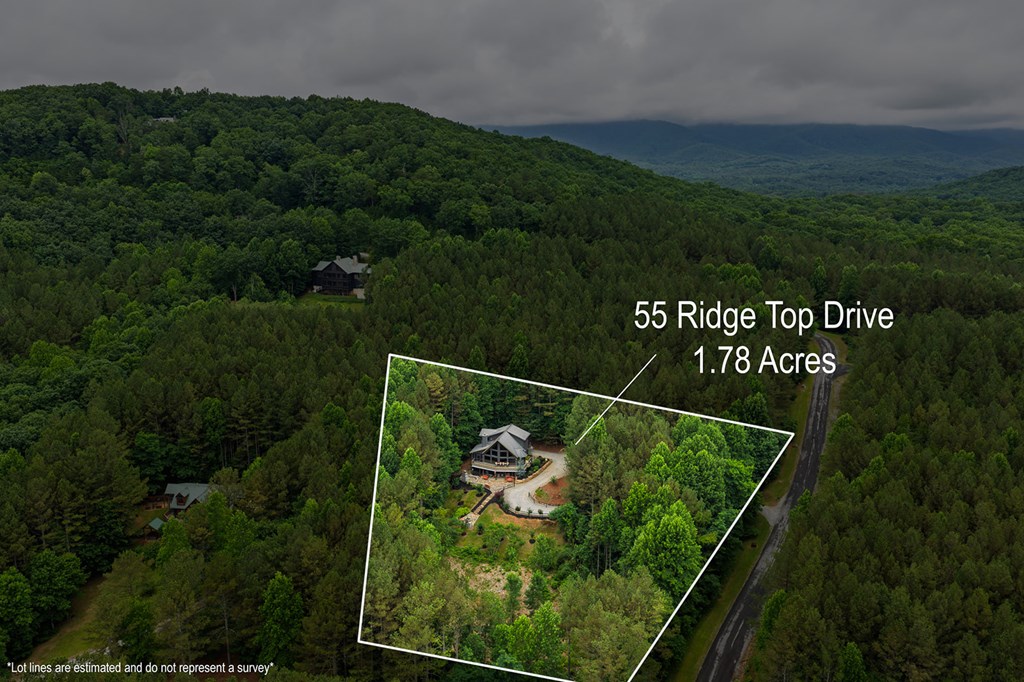 55 Ridge Top Drive Ellijay, GA 30536 - Photo 4 of 76