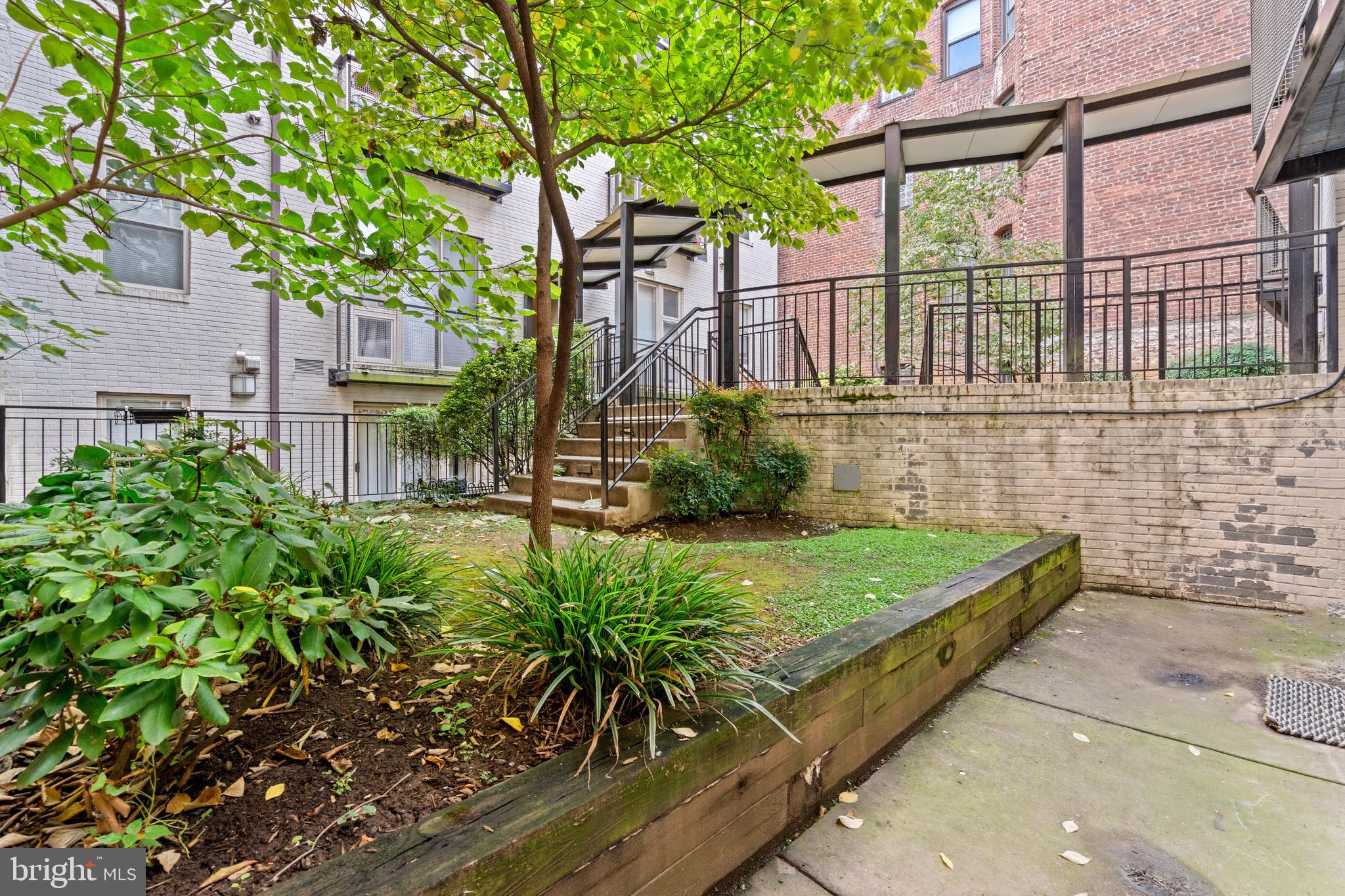 1421 Chapin Street Northwest, Unit 102 Washington, DC 20009 - Photo 23 of 37 a view of a backyard with plants