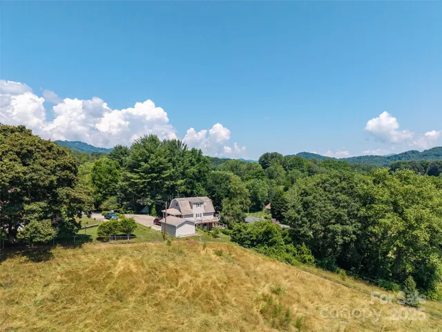 a view of a lake with a mountain in the background