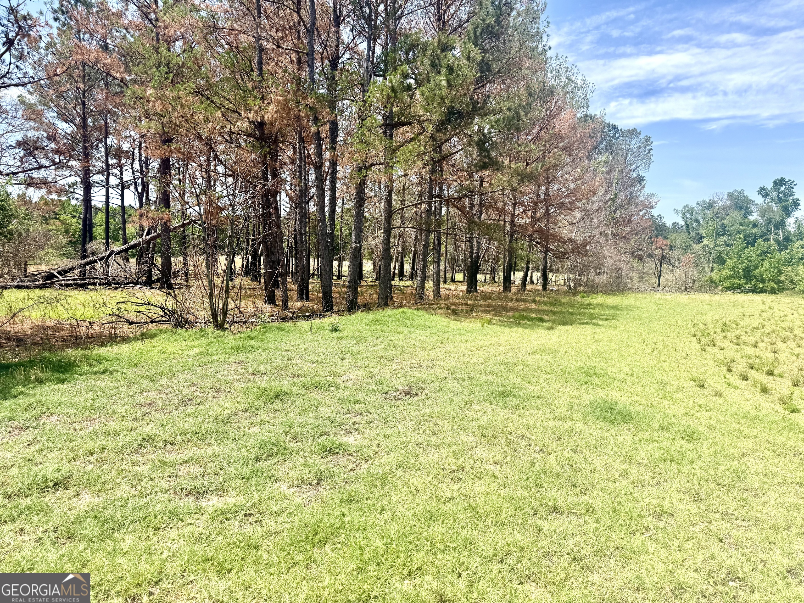 1983 Minton Chapel Road Bartow, GA 30413 - Photo 27 of 30