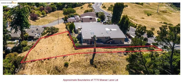 a view of a garden with houses in back