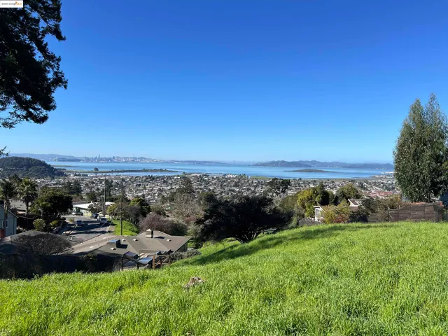 a view of a yard with an ocean