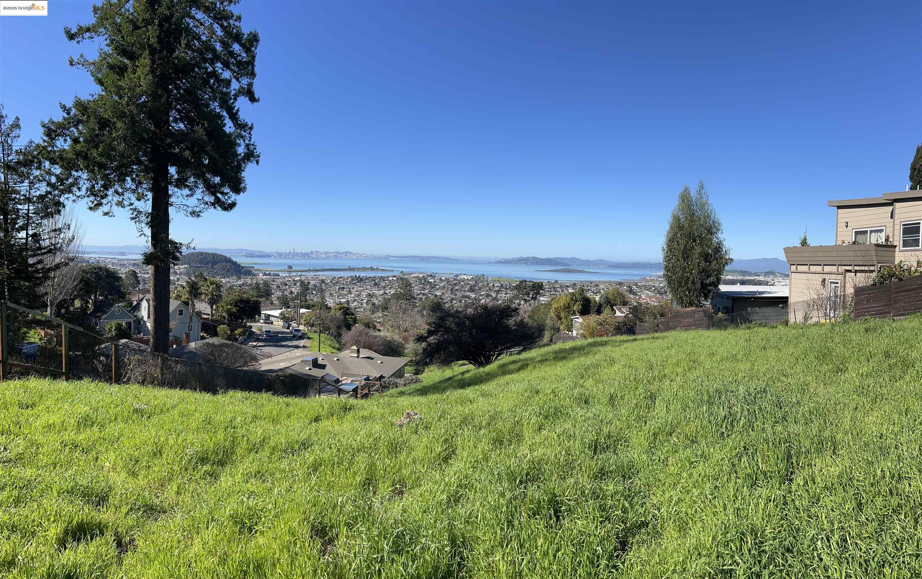 7788 Moeser Lane El Cerrito, CA 94530 - Photo 22 of 25 a view of a garden