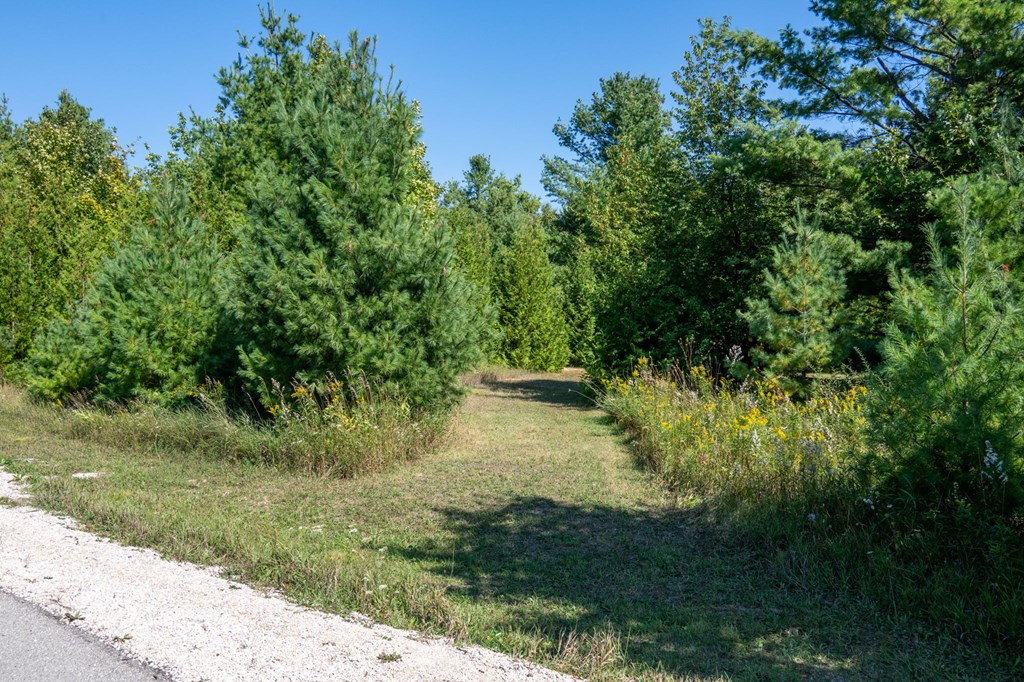 Lot 6 Wildwood Road Ellison Bay, WI 54210 - Photo 32 of 55