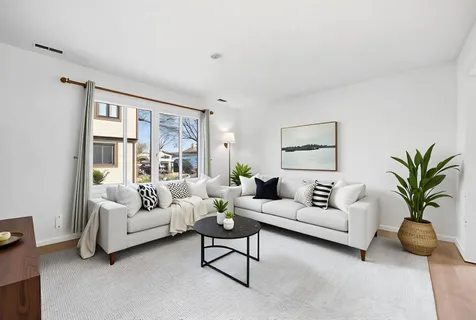 a living room with furniture potted plant and a window