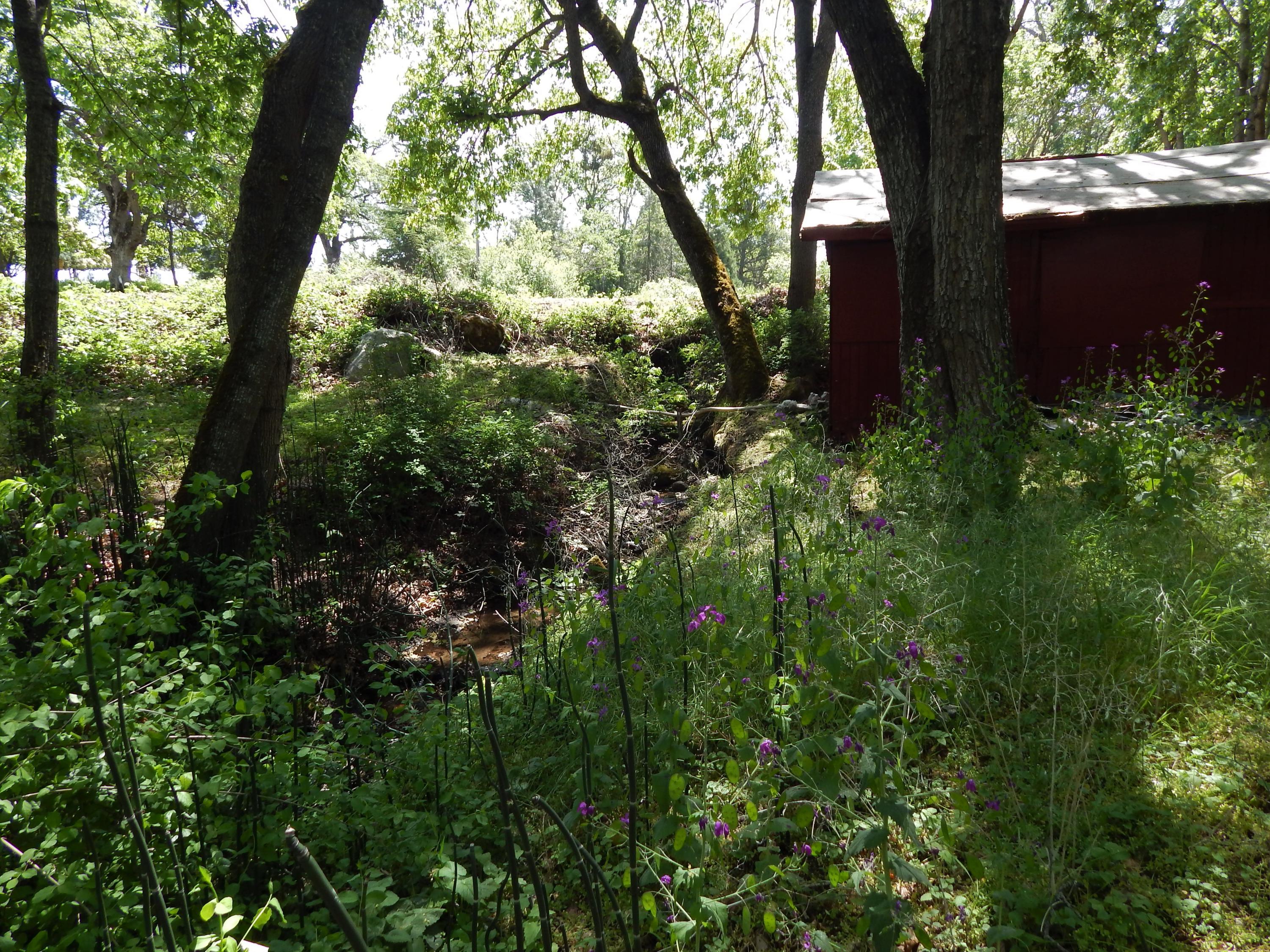 825 Neil Creek Road Ashland, OR 97520 - Photo 22 of 23 Irrigation runoff