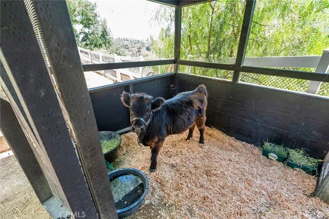 $13,495,000 | 5207 Saddle Creek Road, Hidden Hills, CA 91302