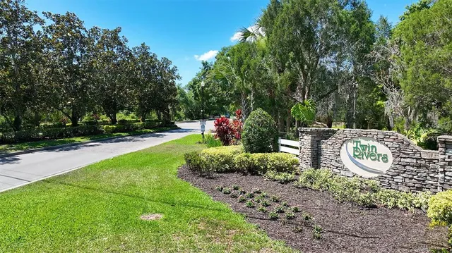 a view of a park with large trees