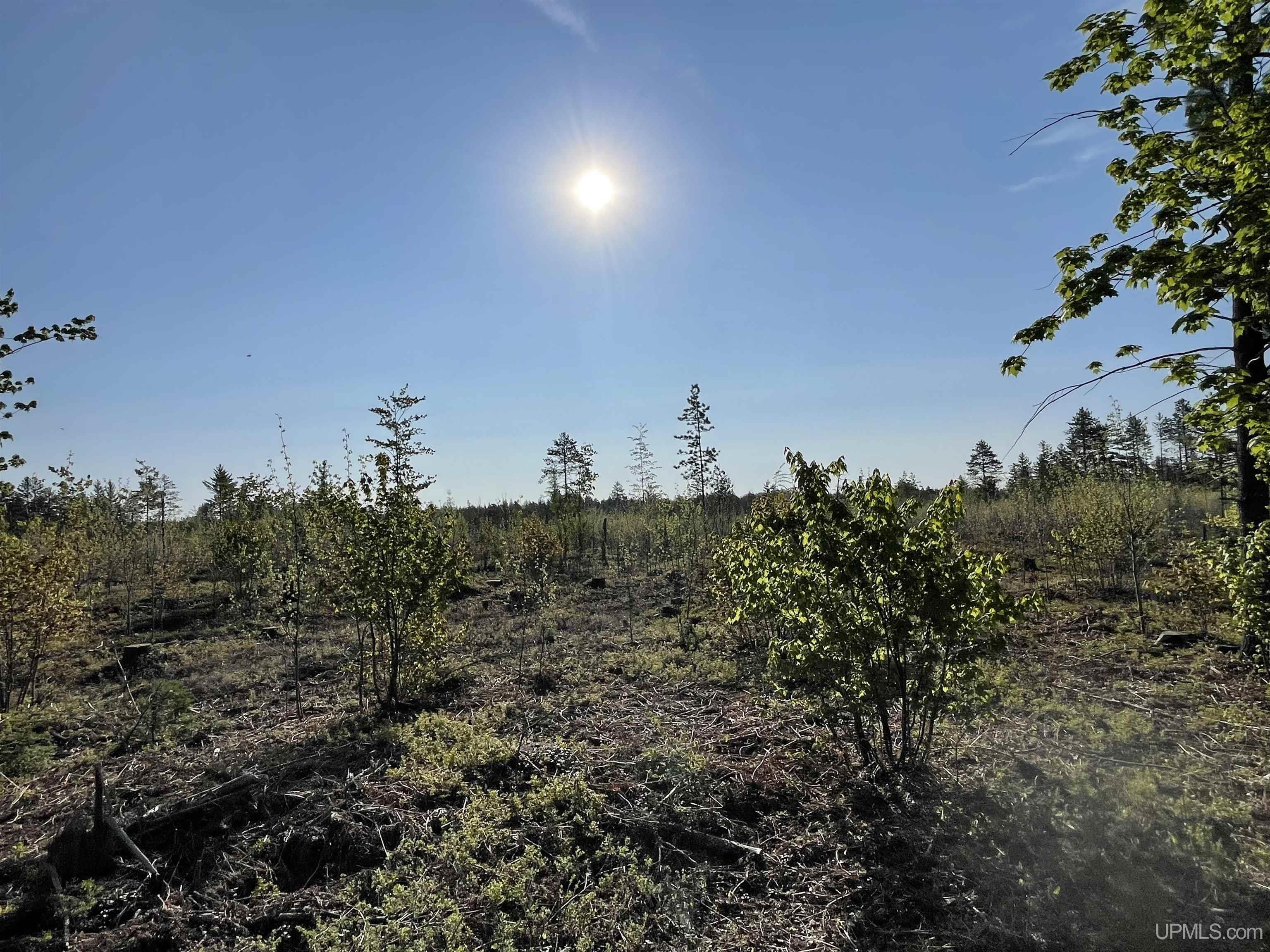 Tbd Tbd Hay Meadow Road Manistique, MI 49854 - Photo 34 of 51