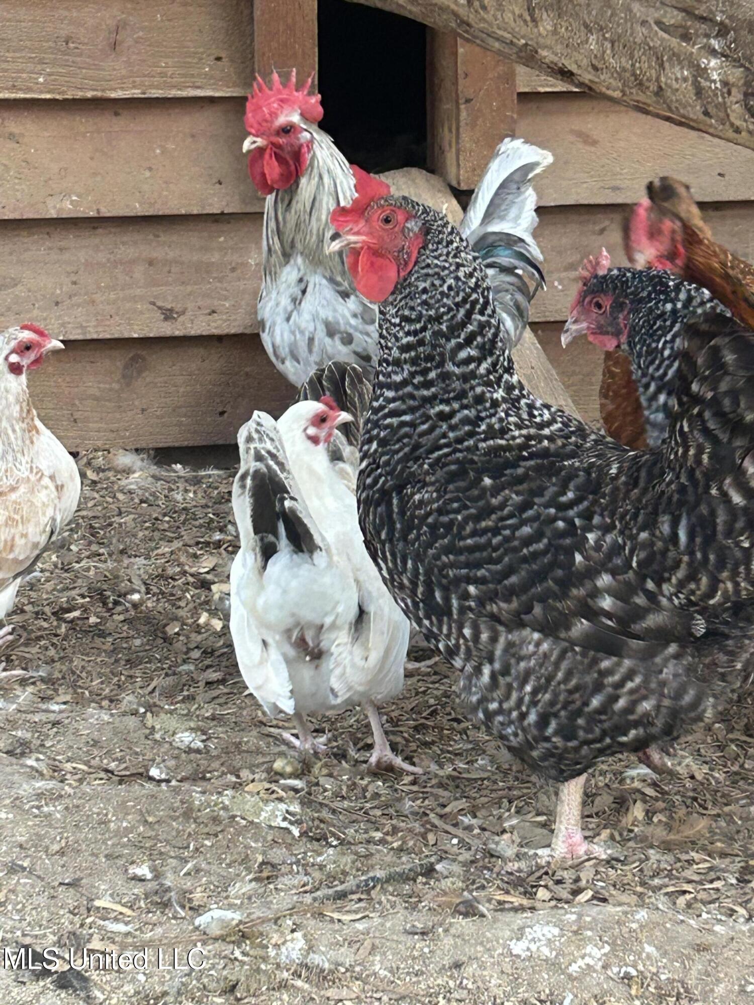 108 Rankin Road Brandon, MS 39042 - Photo 31 of 41 IMG_7013