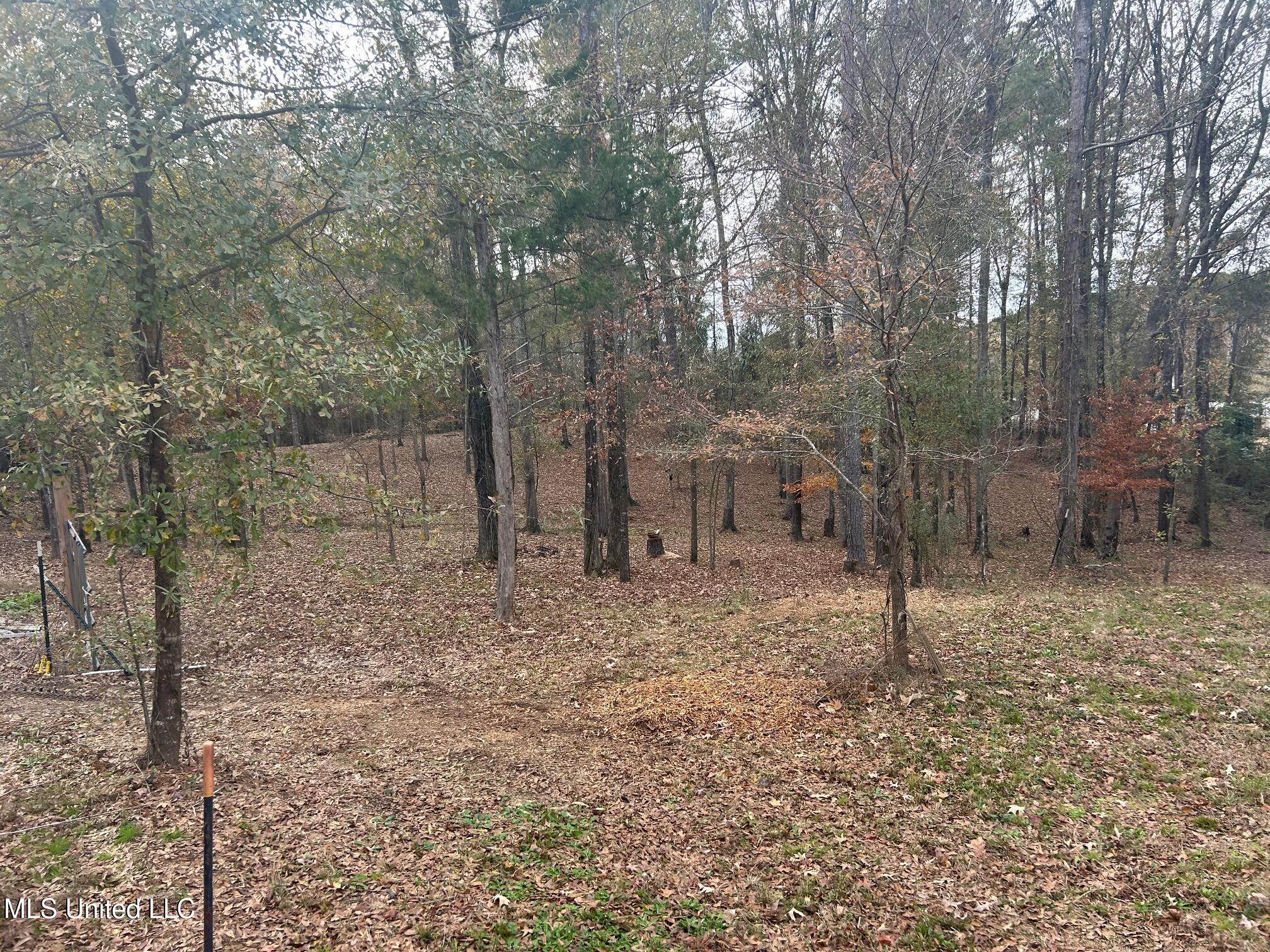 108 Rankin Road Brandon, MS 39042 - Photo 41 of 41 9ADBC71E-5E47-459F-B321-A447C8AFF9AC