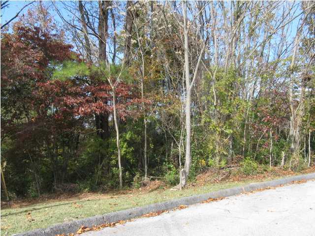 0 Victor Lane Ringgold, GA 30736 - Photo 1 of 1 Primary Photo