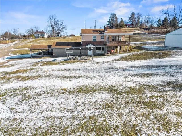 a view of a dry yard with a tree