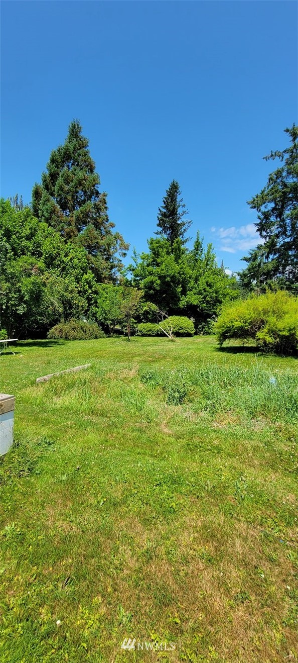 210 Date Street Sultan, WA 98294 - Photo 3 of 8 Gallery Image 3