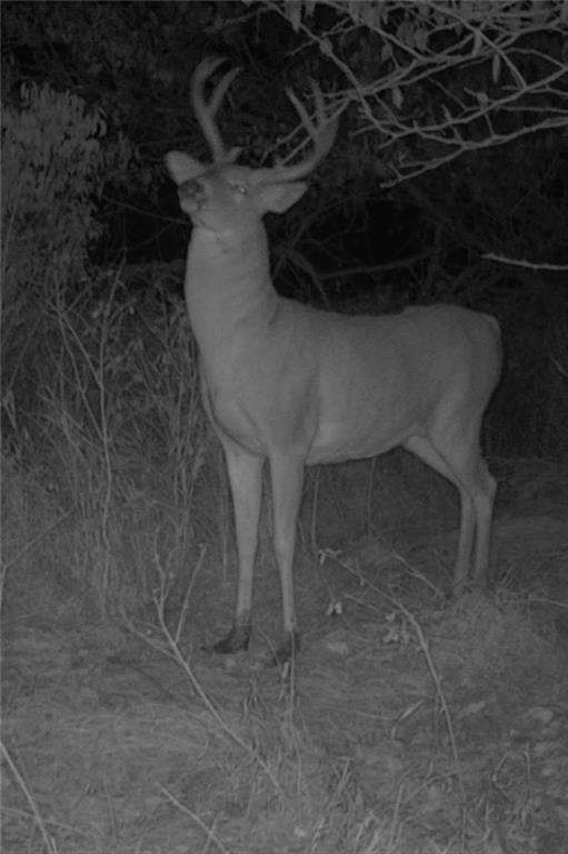 9033 Kiowa Road Altamont, KS 67330 - Photo 3 of 14