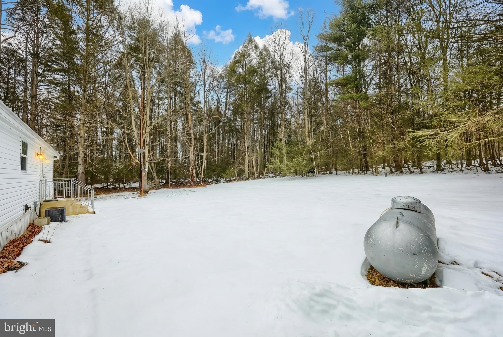 299 Nawakwa Road Biglerville, PA 17307 - Photo 30 of 34 Serene winter landscape with wooded backdrop.