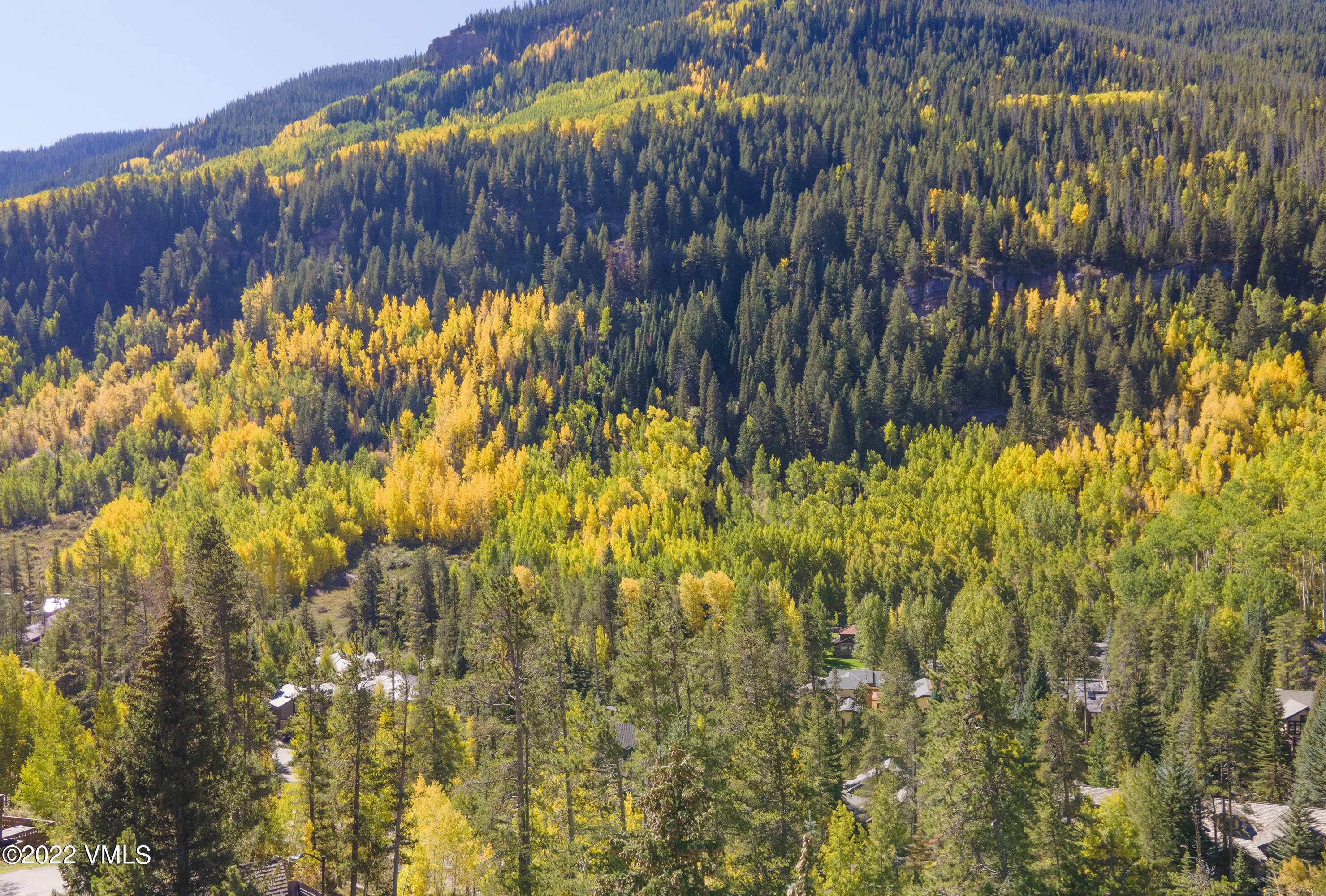 4073 Spruce Way, Unit 22 Vail, CO 81657 - Photo 25 of 25 a view of a garden with a tree