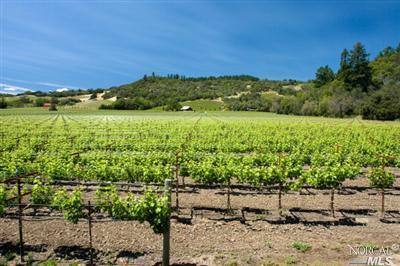 a view of a field with an ocean