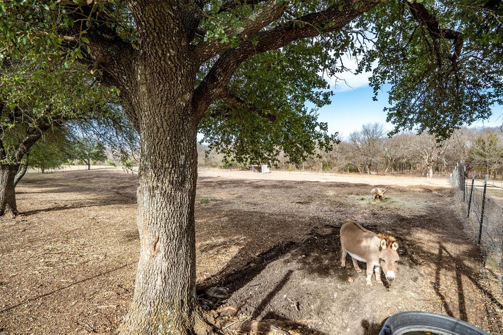 Tbd Lot 5 Cold Springs Road Van Alstyne, TX 75495 - Photo 9 of 10 a view of a yard with an outdoor seating