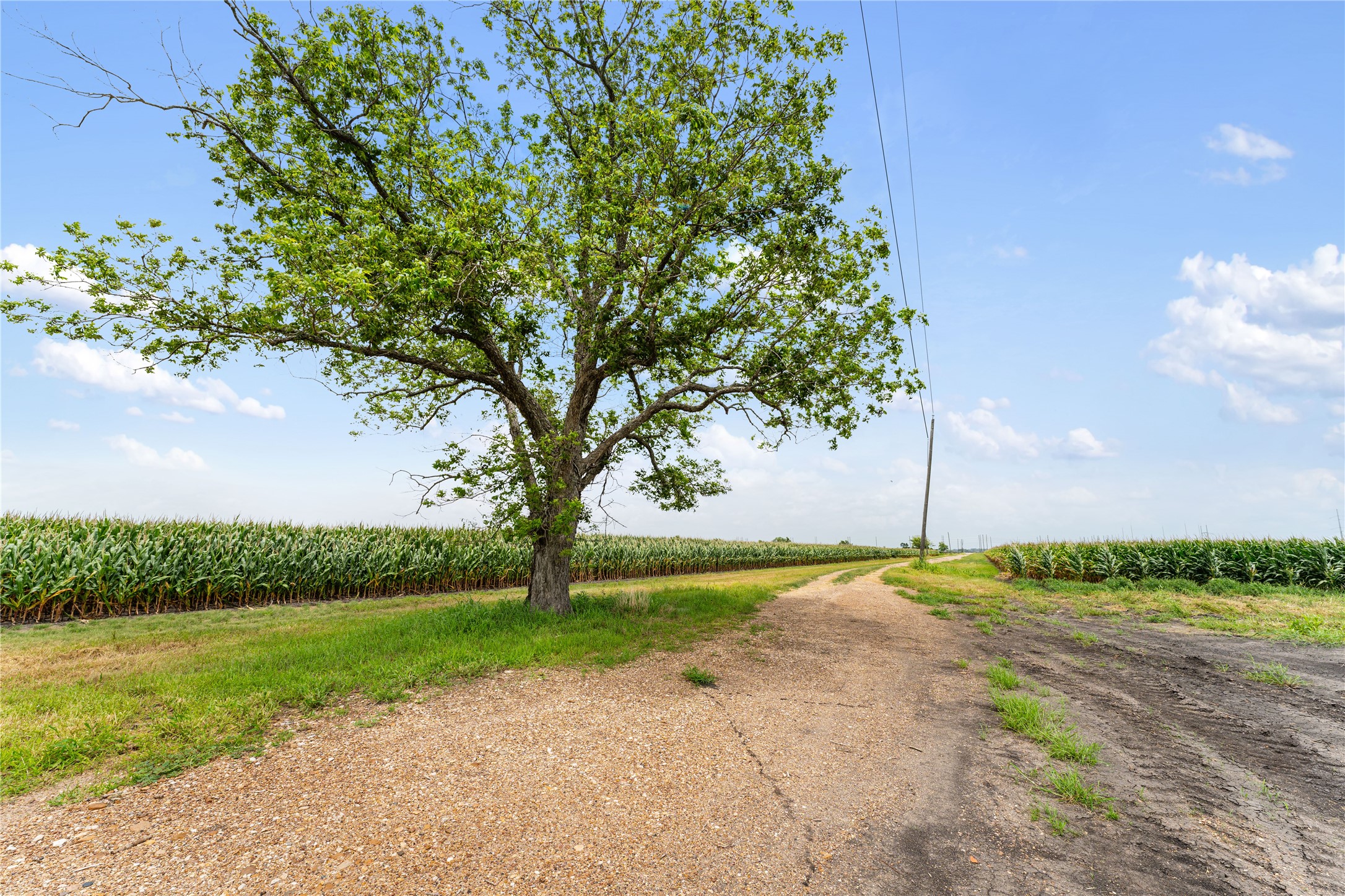 13416 FM 361 Road Needville, TX 77461 - Photo 24 of 27