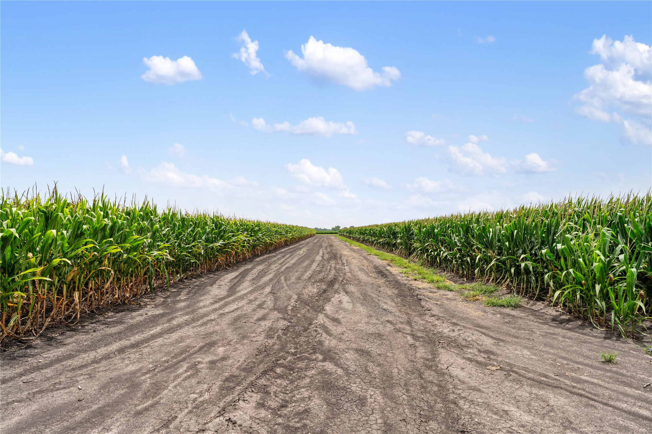 13416 FM 361 Road Needville, TX 77461 - Photo 25 of 27