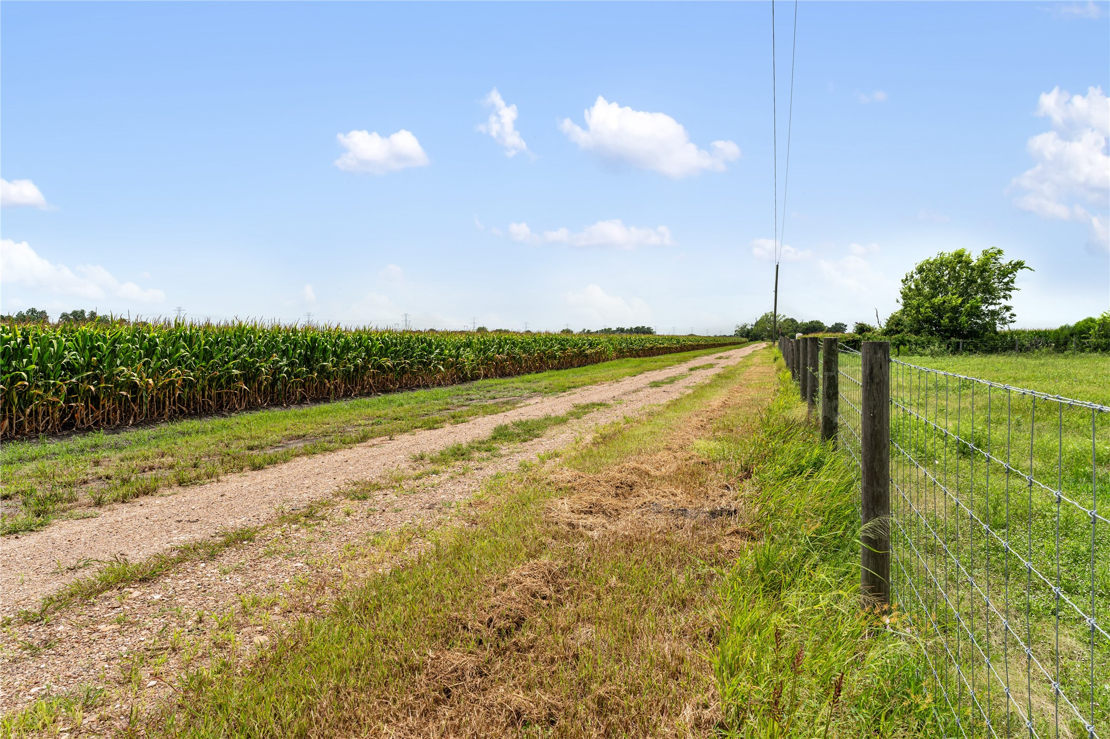 13416 FM 361 Road Needville, TX 77461 - Photo 27 of 27