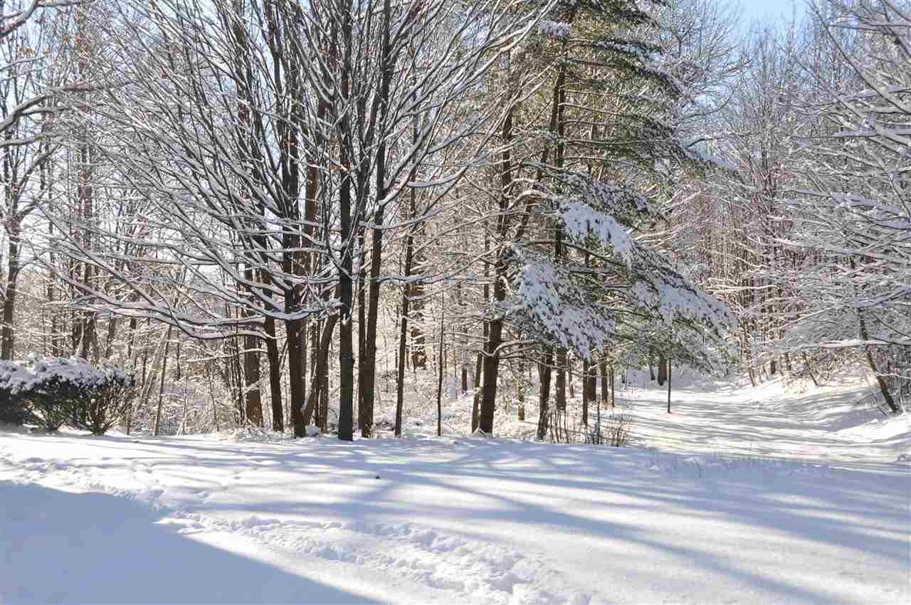 2199 Weybridge Road Weybridge, VT 05753 - Photo 14 of 37