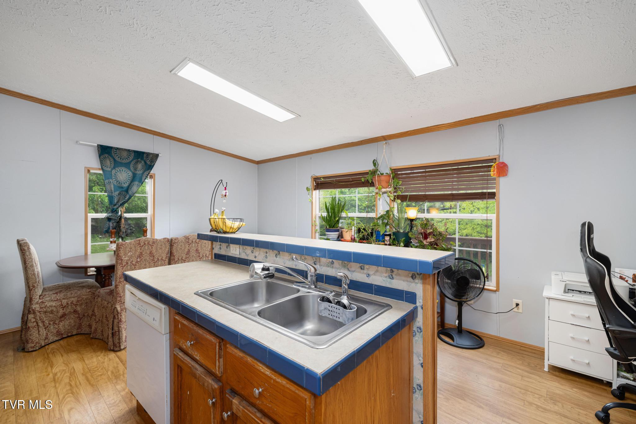 250 Dog Walk Road Greeneville, TN 37745 - Photo 13 of 28 Kitchen