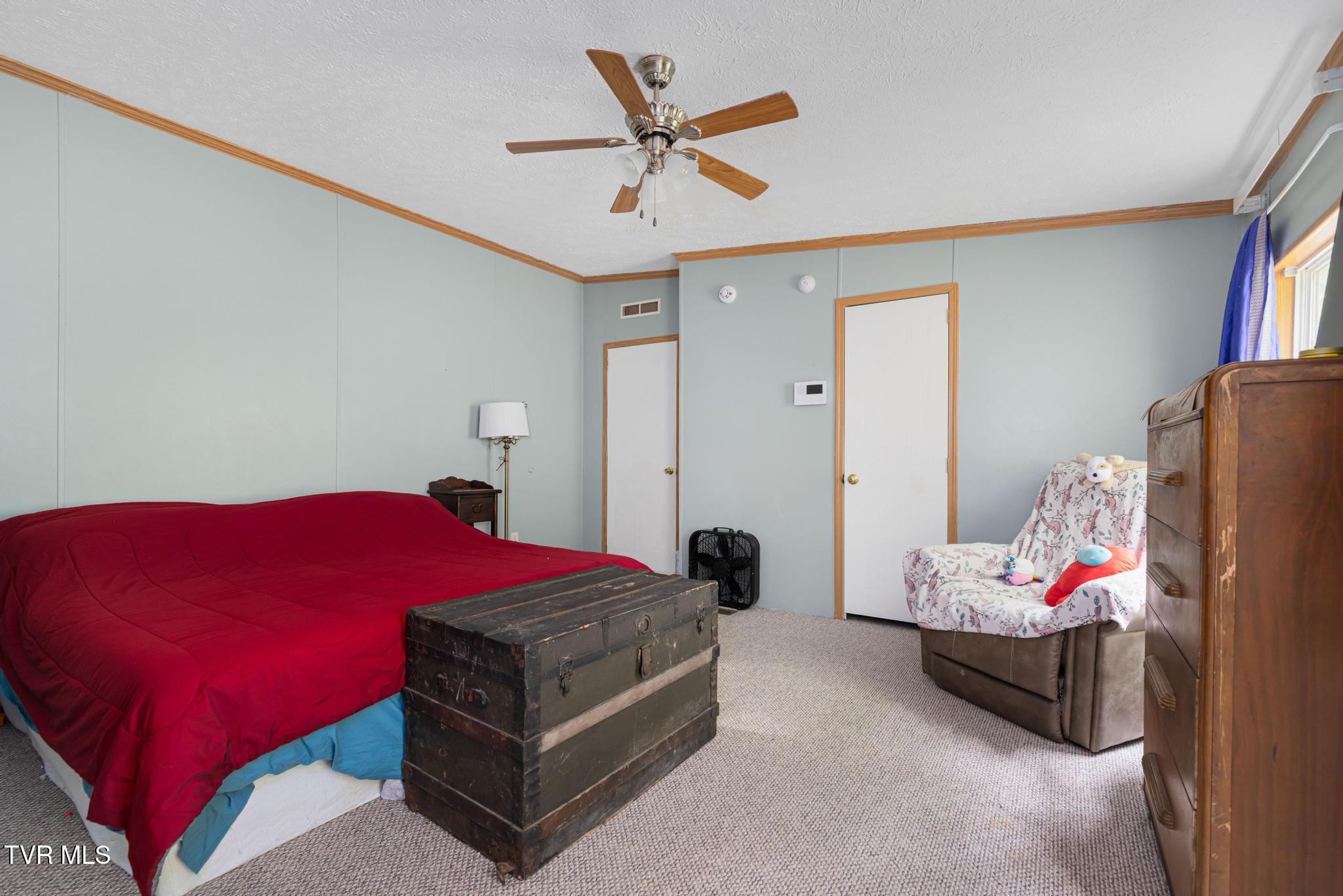 250 Dog Walk Road Greeneville, TN 37745 - Photo 15 of 28 Primary bedroom