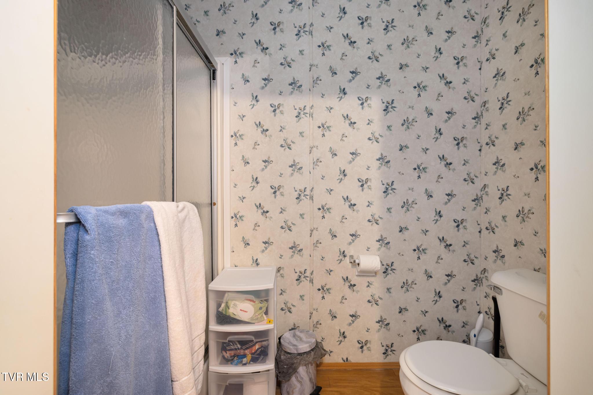 250 Dog Walk Road Greeneville, TN 37745 - Photo 17 of 28 Primary bathroom