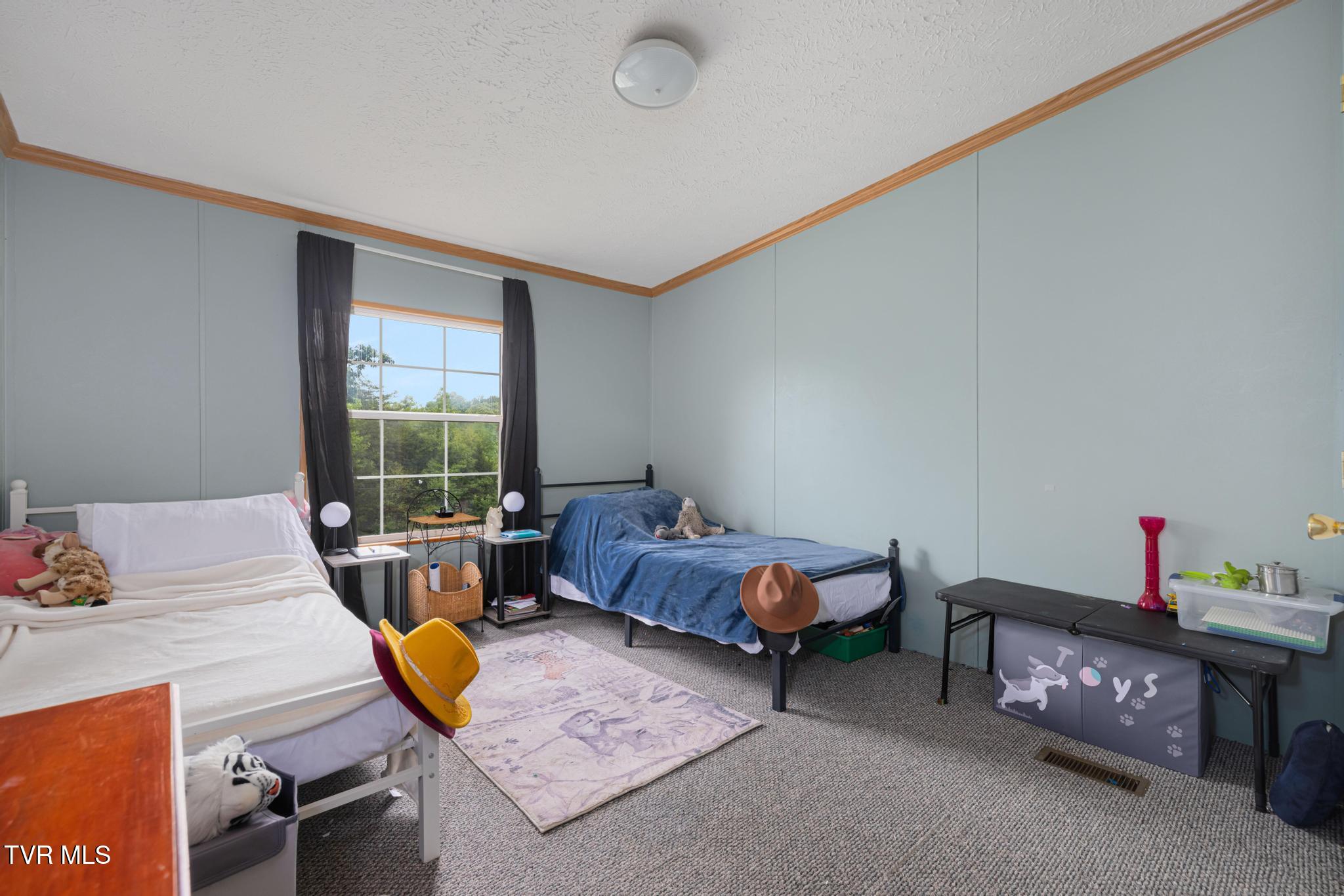 250 Dog Walk Road Greeneville, TN 37745 - Photo 19 of 28 Bedroom 2