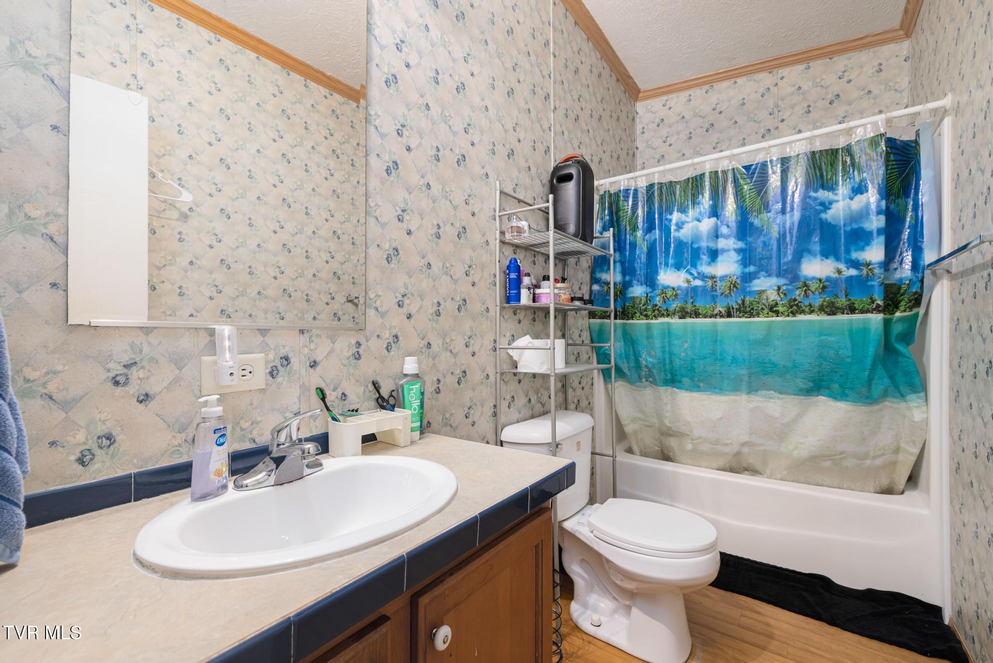 250 Dog Walk Road Greeneville, TN 37745 - Photo 20 of 28 Full bathroom 2