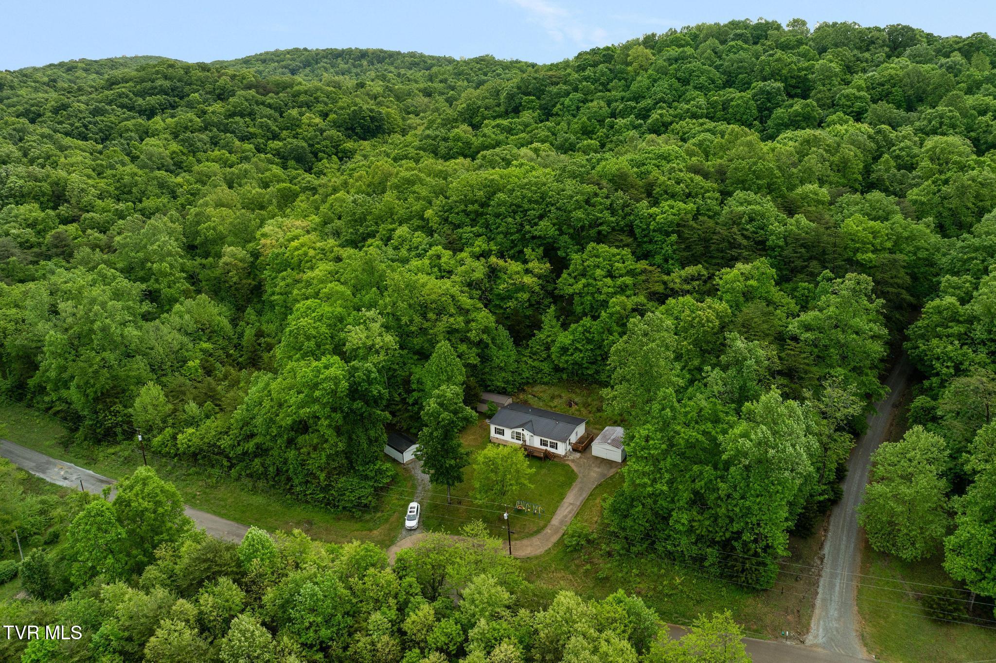 250 Dog Walk Road Greeneville, TN 37745 - Photo 26 of 28 Aerial view