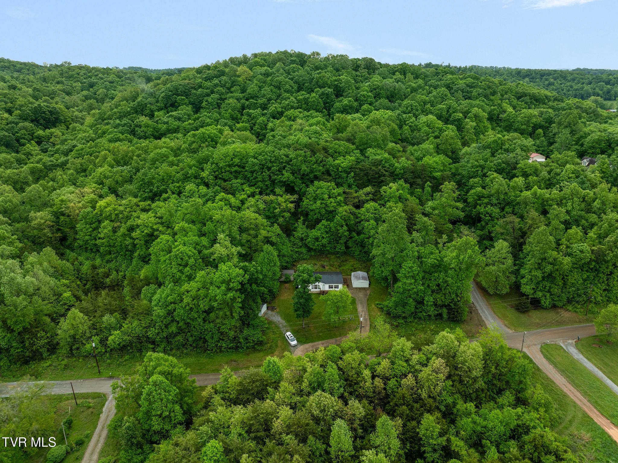 250 Dog Walk Road Greeneville, TN 37745 - Photo 28 of 28 Aerial view