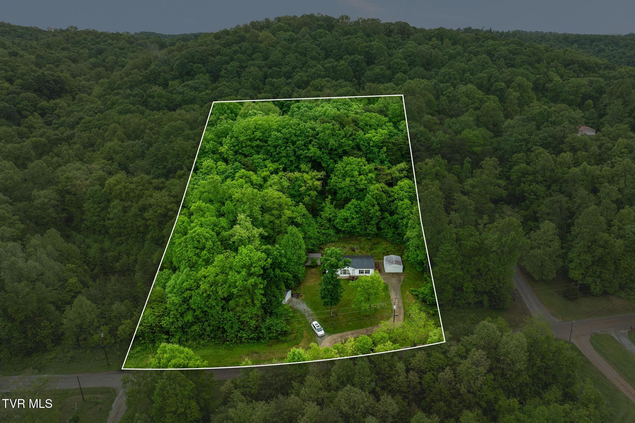 250 Dog Walk Road Greeneville, TN 37745 - Photo 3 of 28 Arial plat(2 parcels)