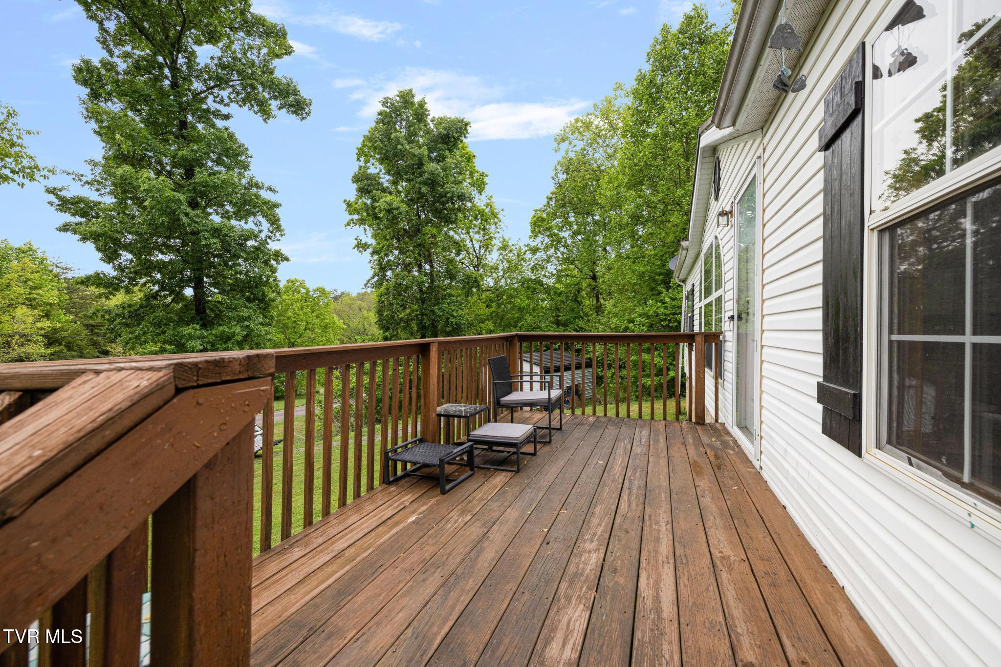 250 Dog Walk Road Greeneville, TN 37745 - Photo 6 of 28 Front deck