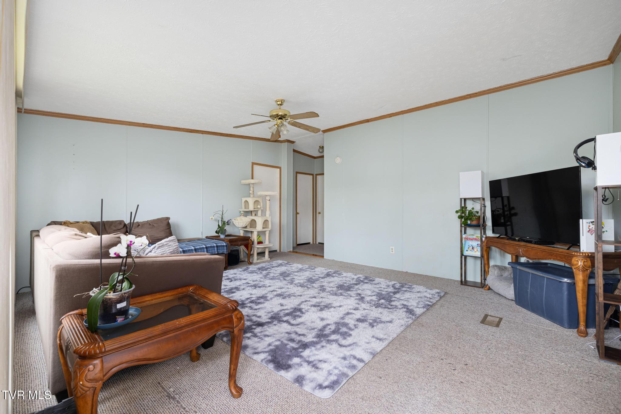 250 Dog Walk Road Greeneville, TN 37745 - Photo 7 of 28 Entry into home