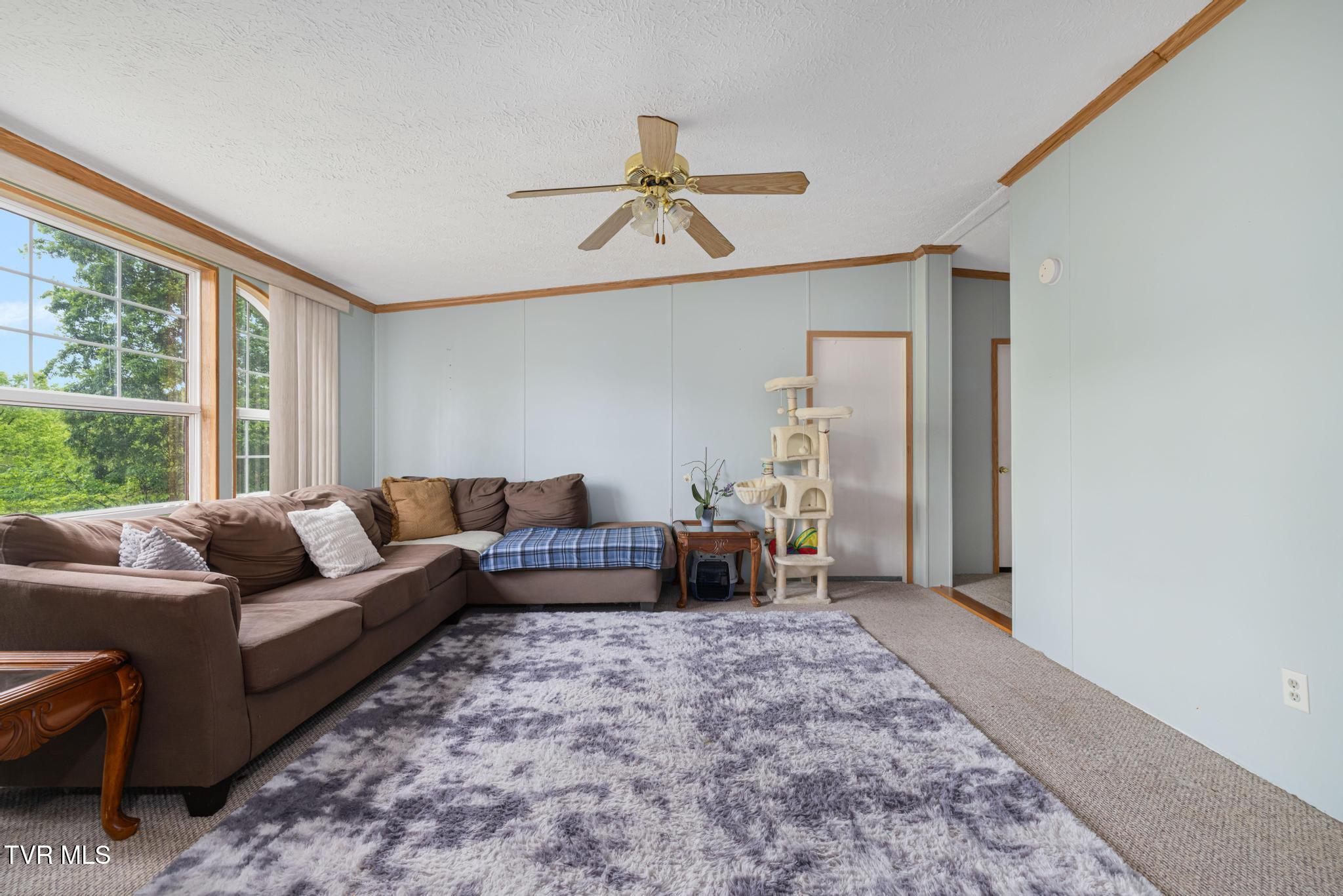 250 Dog Walk Road Greeneville, TN 37745 - Photo 8 of 28 Living room