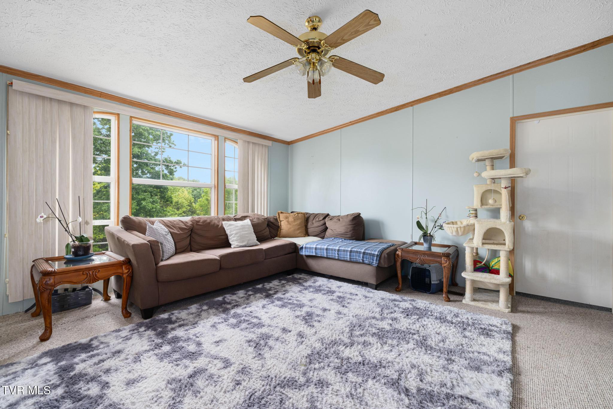250 Dog Walk Road Greeneville, TN 37745 - Photo 9 of 28 Living room