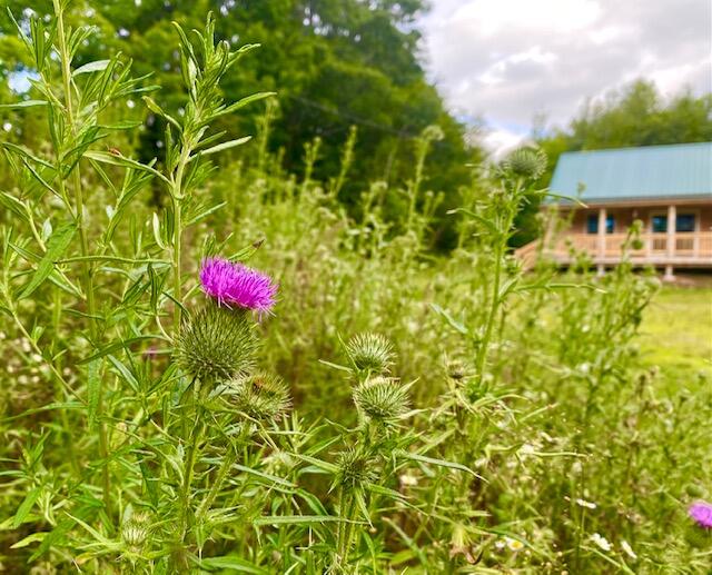 180 North Taylor Road Mount Vernon, ME 04352 - Photo 34 of 51 IMG_0092