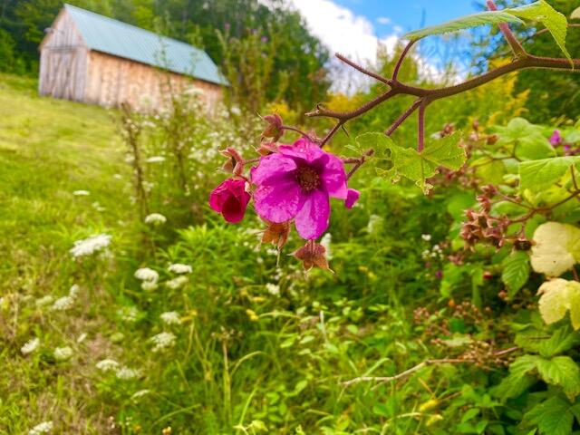 180 North Taylor Road Mount Vernon, ME 04352 - Photo 35 of 51 IMG_0093