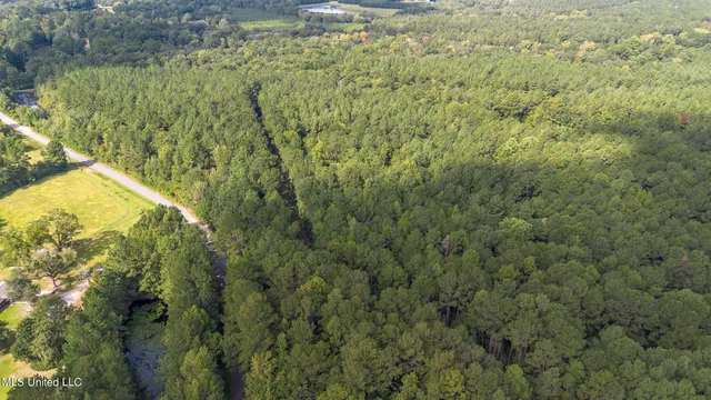 $550,000 | 0 Ben Sones Road, Lumberton, MS 39455