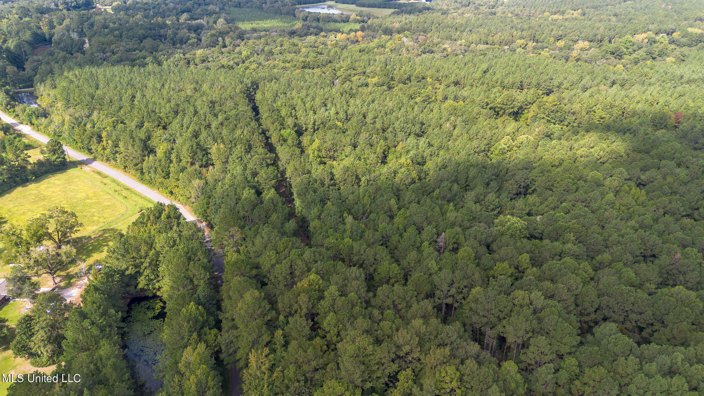 0 Ben Sones Road Lumberton, MS 39455 - Photo 11 of 14 Lumberton (6) (1)