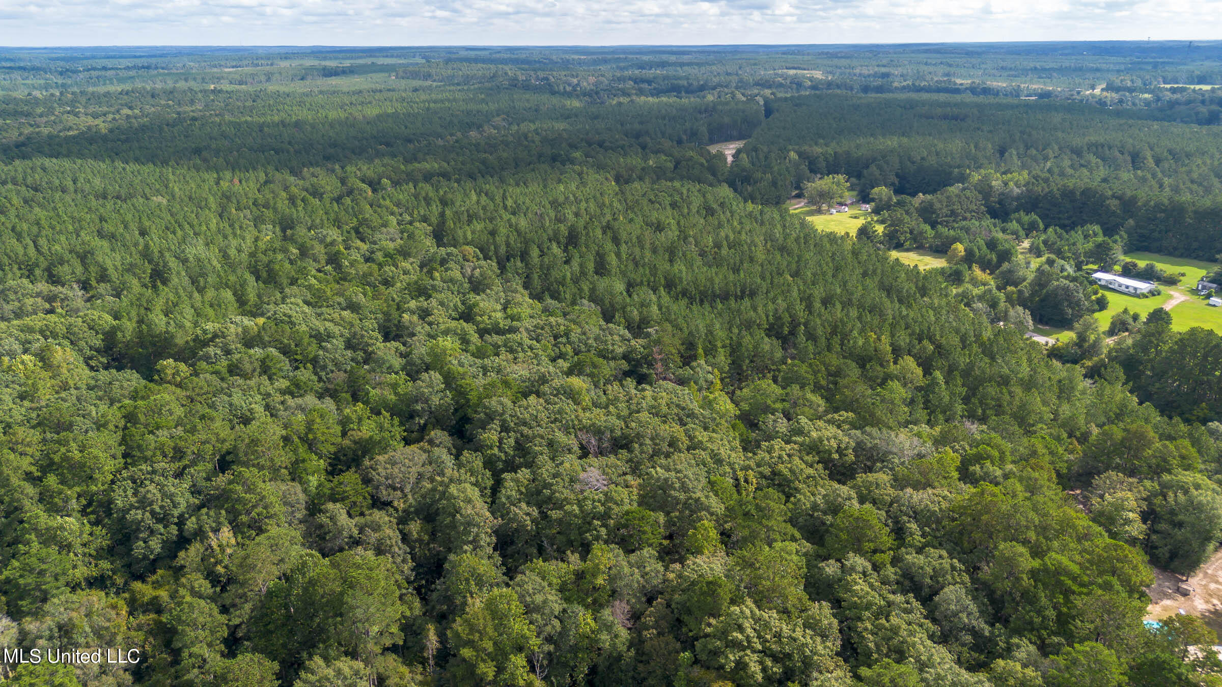 0 Ben Sones Road Lumberton, MS 39455 - Photo 13 of 14 Lumberton (3) (1)