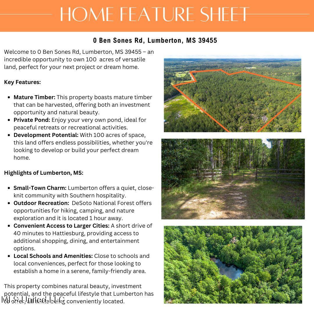 0 Ben Sones Road Lumberton, MS 39455 - Photo 4 of 14 0 Ben son Street Lumberton (3) (1)