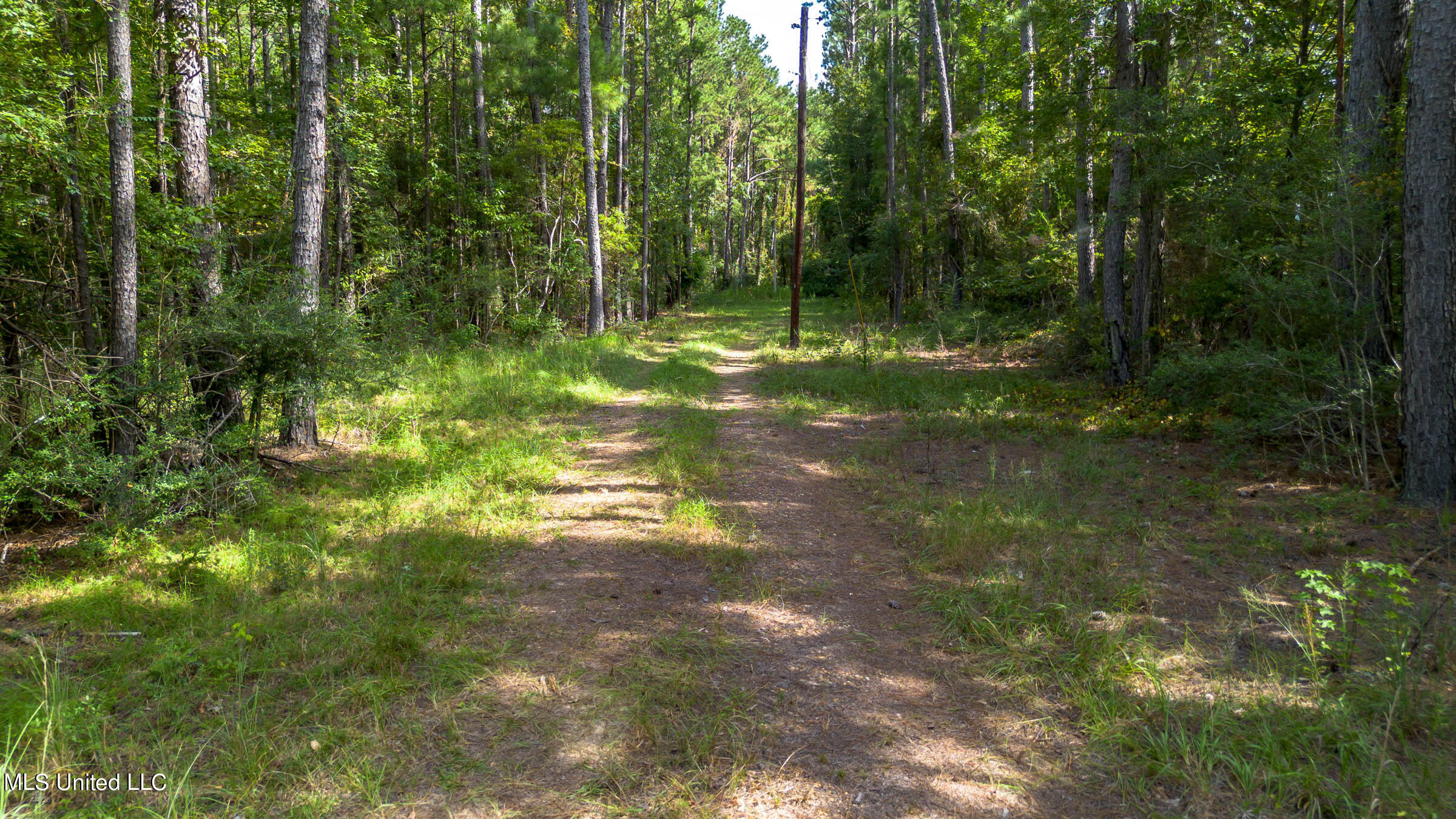 0 Ben Sones Road Lumberton, MS 39455 - Photo 5 of 14 Lumberton (13)