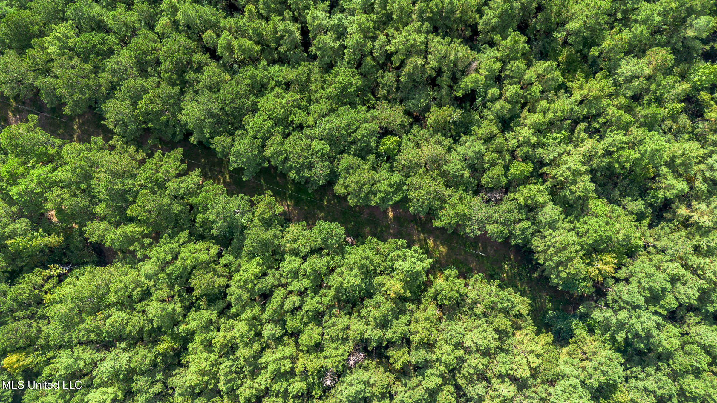 0 Ben Sones Road Lumberton, MS 39455 - Photo 6 of 14 Lumberton (11) (1)